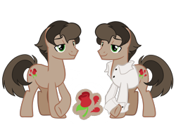 Size: 4500x3375 | Tagged: safe, artist:avatarmicheru, oc, oc only, oc:rose wine, pony, base used, clothes, magical gay spawn, male, offspring, parent:doctor caballeron, parent:feather bangs, parents:featheron, shirt, simple background, solo, stallion, transparent background