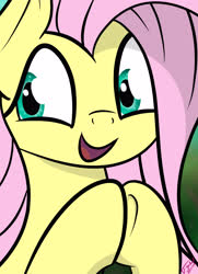 Size: 4700x6500 | Tagged: safe, artist:flywheel, fluttershy, pegasus, pony, g4, bust, cute, female, shyabetes, simple background, solo, vector