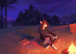 Size: 2300x1635 | Tagged: safe, artist:dearmary, oc, oc only, anthro, unguligrade anthro, anthro oc, bag, blaze (coat marking), campfire, cart, clothes, coat markings, facial markings, female, fire, mare, night, scenery, sitting, snip (coat marking), solo, tree