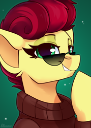 Size: 1000x1400 | Tagged: safe, artist:shadowreindeer, oc, oc only, oc:aces high, pony, bust, commission, portrait, solo