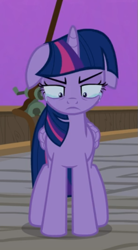 Size: 379x686 | Tagged: safe, screencap, twilight sparkle, alicorn, pony, g4, once upon a zeppelin, angry, cropped, crying, female, floppy ears, solo, twilight sparkle (alicorn)