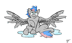 Size: 1448x876 | Tagged: safe, artist:lucas_gaxiola, oc, oc only, pegasus, pony, grin, pegasus oc, puddle, simple background, smiling, solo, spread wings, wet mane, white background, wings