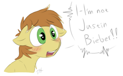 Size: 2438x1500 | Tagged: safe, artist:fakskis, feather bangs, earth pony, pony, g4, 30 minute art challenge, blushing, chest fluff, cute, dialogue, floppy ears, justin bieber, male, open mouth, simple background, sketch, solo, stallion, text, white background