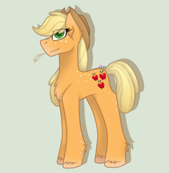 Size: 1200x1228 | Tagged: safe, artist:brendalobinha, applejack, earth pony, pony, g4, applejack's hat, chest fluff, cowboy hat, ear fluff, female, food, freckles, gray background, hat, looking at you, mare, simple background, solo, unshorn fetlocks, wheat