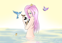 Size: 1600x1120 | Tagged: safe, artist:mricantdraw, fluttershy, bird, butterfly, duck, human, g4, animal, artistic nudity, bathing, female, humanized, nudity, signature, solo, strategically covered, water