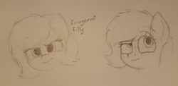 Size: 2866x1395 | Tagged: safe, artist:smoldix, oc, oc:filly anon, pony, bust, expressions, female, filly, pencil drawing, traditional art