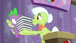 Size: 1920x1080 | Tagged: safe, screencap, granny smith, spike, dragon, earth pony, pony, a trivial pursuit, g4, assistant, baby dragon, bags under eyes, book, claws, clothes, duo, elderly, female, floppy ears, flying, granny smith's shawl, hair bun, host, male, mare, shrunken pupils, smiling, spread wings, straining, underfoot, winged spike, wings, wrinkles