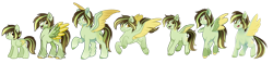 Size: 1024x238 | Tagged: safe, artist:ak4neh, oc, oc only, pegasus, pony, alternate design, female, folded wings, g5 concept leak style, mare, multeity, multiple variants, redesign, simple background, solo, spread wings, transparent background, wings