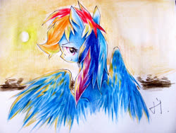 Size: 2816x2112 | Tagged: safe, artist:lililioon, rainbow dash, pegasus, pony, g4, badass, cool, female, high res, looking at you, looking back, mare, sky, solo, spread wings, sun, traditional art, wings