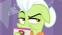Size: 1920x1080 | Tagged: safe, screencap, granny smith, earth pony, pony, a trivial pursuit, g4, asking, card, clothes, elderly, female, floppy ears, granny smith's shawl, hair bun, hoof hold, host, mare, narrowed eyes, obscured face, question, raised eyebrow, raised hoof, solo, trivia trot, wrinkles