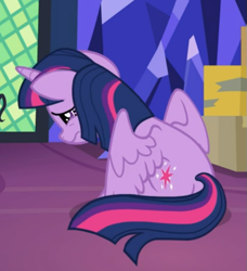 Size: 509x558 | Tagged: safe, screencap, twilight sparkle, alicorn, pony, g4, the last problem, cropped, female, rear view, sad, sitting, solo, spread wings, twilight sparkle (alicorn), wings