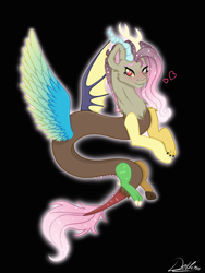 Size: 768x1024 | Tagged: safe, alternate version, artist:delfinaluther, discord, fluttershy, draconequus, g4, black background, blushing, colored wings, cute, cute little fangs, ethereal mane, fangs, female, fusion, fusion:discord, fusion:fluttershy, gradient wings, heart, looking at you, male, multicolored wings, signature, simple background, smiling, starry mane, wings