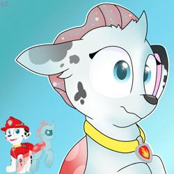 Size: 1250x1250 | Tagged: safe, artist:rainbow eevee, ocellus, changedling, changeling, dalmatian, dog, g4, character to character, collar, cute, diaocelles, gradient background, male to female, marshall, marshall (paw patrol), paw patrol, rule 63, rule63betes, simple background, surprised, transformation, transgender transformation, wat
