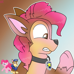 Size: 1250x1250 | Tagged: safe, artist:rainbow eevee, pinkie pie, dog, earth pony, german shepherd, pony, g4, character to character, chase, chase (paw patrol), collar, cute, gradient background, male to female, paw patrol, rule 63, rule63betes, simple background, transformation, transgender transformation, wat, worried