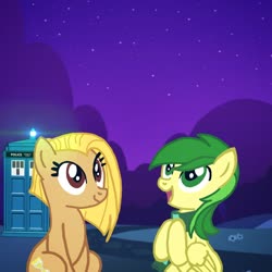 Size: 1080x1080 | Tagged: safe, artist:mäo, doctor whooves, time turner, oc, oc only, oc:mäo redskwaer, earth pony, pegasus, pony, g4, doctor who, night, ponified, sitting, tardis, the doctor