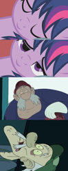 Size: 796x2008 | Tagged: safe, twilight sparkle, bridle gossip, g4, my little pony: friendship is magic, bed meme, exploitable meme, luigi, luigi's nightmare, male, mario, meme, meta, older, super mario, waking up