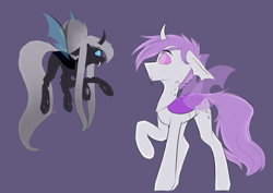 Size: 1131x800 | Tagged: safe, artist:teelastrie, oc, oc only, oc:ace gambit (nya), oc:teelas, changeling, changeling oc, confused, cute, double colored changeling, duo, looking at each other, purple changeling, simple background, size difference, white changeling
