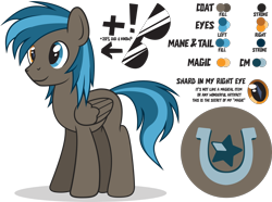 Size: 2000x1489 | Tagged: safe, artist:le-23, oc, oc only, oc:going lucky, pegasus, pony, heterochromia, male, reference sheet, simple background, solo, stallion, sunglasses, transparent background