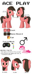 Size: 5000x11400 | Tagged: safe, artist:ace play, pinkie pie, oc, oc only, oc:ace play, earth pony, pony, facial hair, goatee, male, partially transparent background, plushie, pony plushie, reference sheet, semi-transparent, simple background, solo, stallion