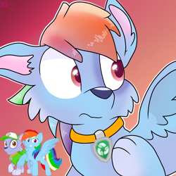 Size: 1250x1250 | Tagged: safe, artist:rainbow eevee, rainbow dash, dog, pegasus, pony, g4, character to character, collar, cute, gradient background, male to female, paw patrol, rocky (paw patrol), rule 63, rule63betes, simple background, transformation, transgender transformation, wat, winged dog
