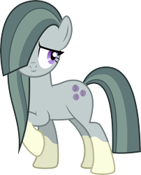 Size: 4648x5763 | Tagged: safe, artist:fruft, edit, editor:slayerbvc, vector edit, marble pie, earth pony, pony, g4, coat markings, female, inverted mouth, mare, ponies wearing sunburst's socks, raised hoof, simple background, socks (coat markings), solo, transparent background, vector