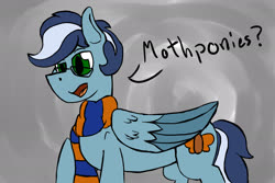 Size: 2500x1667 | Tagged: safe, artist:stemthebug, oc, oc only, oc:moth wing, pegasus, pony, clothes, digital art, glasses, scarf, solo