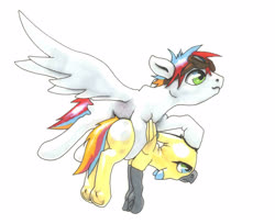 Size: 2556x2082 | Tagged: safe, artist:oddwarg, oc, oc only, oc:oxford nimbus, oc:sulphur nimbus, hippogriff, pegasus, pony, butt feathers, community related, duo, female, flying, flying lesson, folded wings, goggles, high res, hippogriff oc, holding, hoof hold, male, spread wings, stallion, sulphur nimbus, traditional art, unamused, underhoof, wings