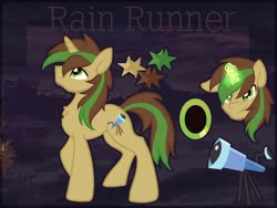 Size: 1600x1201 | Tagged: safe, artist:tiothebeetle, oc, oc only, oc:rain runner, earth pony, pony, commission, cutie mark, magic, male, reference sheet, starry sky, stars