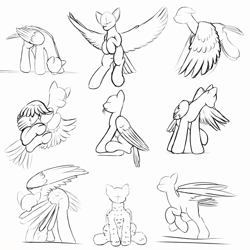 Size: 1000x1001 | Tagged: safe, artist:redquoz, bird, bird pone, pegasus, pony, black and white, drinking, eating hay, fluffy, flying, grayscale, grooming, herbivore, horses doing horse things, landing, monochrome, no face, perching, preening, sketch, sketch dump, tail feathers, unusual perspective