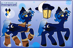 Size: 4100x2684 | Tagged: safe, artist:hakkids2, oc, oc only, oc:midnight oil, pegasus, pony, abstract background, boots, clothes, female, goggles, jacket, lidded eyes, mare, raised hoof, reference sheet, shoes, smiling, steampunk, tail wrap