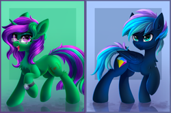 Size: 3999x2651 | Tagged: oc name needed, safe, artist:atlas-66, oc, oc only, oc:buggy code, pegasus, pony, unicorn, female, high res, male, mare, stallion