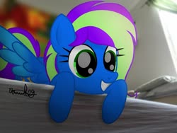Size: 1024x769 | Tagged: safe, artist:itsnovastarblaze, oc, oc only, oc:novastar blaze, pegasus, pony, bed, blurry background, curtains, cute, female, happy, irl, mare, ocbetes, pegasus oc, photo, pillow, ponies in real life, real life background, signature, smiling, solo, spread wings, window, wings