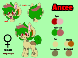 Size: 2160x1620 | Tagged: safe, artist:snowbuttnsfw, oc, oc only, oc:ancee, hybrid, pony, cute, female, green hair, mare, red eyes, reference sheet, solo