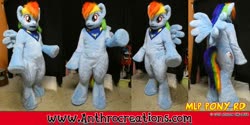 Size: 1263x632 | Tagged: safe, artist:atalonthedeer, rainbow dash, pegasus, pony, anthro, g4, fursuit, irl, photo, ponysuit