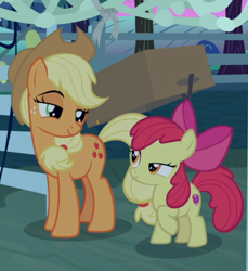 Size: 662x722 | Tagged: safe, screencap, apple bloom, applejack, g4, going to seed, apple sisters, applejack is best facemaker, cropped, duo, female, lidded eyes, looking at each other, siblings, sisters, smug, smug bloom, smugjack
