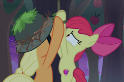 Size: 1423x938 | Tagged: safe, screencap, apple bloom, applejack, g4, going to seed, apple sisters, cropped, duo, female, hat, rear view, siblings, sisters, tied up