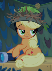 Size: 372x512 | Tagged: safe, screencap, applejack, pony, g4, going to seed, binoculars, cropped, female, hat, lidded eyes, smiling, solo