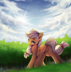 Size: 2484x2507 | Tagged: safe, artist:hitbass, applejack, earth pony, pony, g4, applebutt, butt, collaboration, cute, featureless crotch, female, high res, jackabetes, lidded eyes, looking at you, looking back, looking back at you, mare, one eye closed, plot, scenery, solo, wink