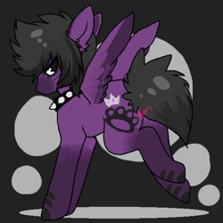 Size: 550x550 | Tagged: safe, artist:bonnii, oc, oc only, pegasus, pony, abstract background, choker, colored hooves, crown, jewelry, male, pegasus oc, regalia, solo, spiked choker, stallion, wings
