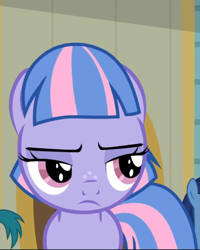 Size: 597x745 | Tagged: safe, screencap, wind sprint, pony, common ground, g4, cropped, female, lidded eyes, solo, wind sprint is not amused