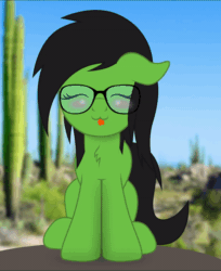 Size: 800x981 | Tagged: safe, artist:bastbrushie, oc, oc only, oc:prickly pears, animated, desert, glasses, not anonfilly, rule 63, sitting, tongue out