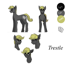 Size: 1698x1500 | Tagged: safe, artist:nsilverdraws, oc, oc:trestle, pony, front view, reference sheet, sideview, smug
