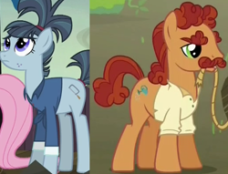 Size: 516x394 | Tagged: safe, edit, edited screencap, screencap, fluttershy, hacksaw mccolt, seedsman hooffield, g4, the hooffields and mccolts, cropped, female, hooffield family, hooffield x mccolt, male, mccolt family, offscreen character, rope, seedsaw, shipping, shipping domino, stallion, straight
