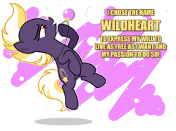 Size: 6000x4469 | Tagged: safe, artist:estories, oc, oc only, oc:wildheart, earth pony, pony, g4, absurd resolution, female, mare, simple background, solo, transparent background, vector