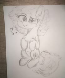 Size: 2149x2587 | Tagged: safe, artist:mjsw, oc, oc only, earth pony, pony, black and white, confused, grayscale, high res, monochrome, question mark, sketch, solo, traditional art