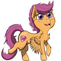 Size: 2000x2000 | Tagged: safe, artist:shinycyan, scootaloo, pegasus, pony, g4, blushing, chest fluff, digital art, female, filly, high res, orange pony, png, simple background, solidarity map, solo, the cmc's cutie marks, transparent background