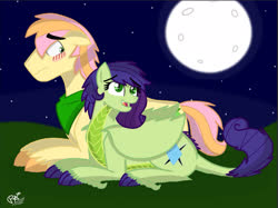 Size: 1874x1403 | Tagged: safe, artist:pimpartist101, oc, oc only, oc:big ben, oc:rosemary, dracony, hybrid, pegasus, pony, blushing, claw hooves, fangs, female, full moon, interspecies offspring, male, mare, moon, neckerchief, night, oc x oc, offspring, parent:big macintosh, parent:fluttershy, parent:rarity, parent:spike, parents:fluttermac, parents:sparity, prone, shipping, stallion, story included, straight, unshorn fetlocks