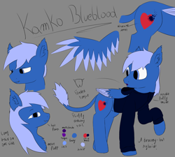 Size: 2000x1800 | Tagged: safe, artist:thekamko, derpibooru exclusive, oc, oc only, oc:kamko blueblood, bat pony, dracony, dragon, hybrid, pony, chest fluff, clothes, colored sketch, colored wings, colored wingtips, ear fluff, fangs, hoodie, raised hoof, reference sheet, smiling, solo, upset