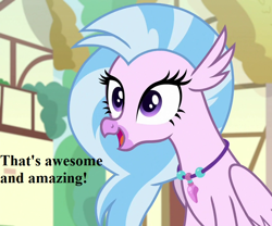 Size: 864x720 | Tagged: safe, edit, edited screencap, editor:korora, screencap, silverstream, classical hippogriff, hippogriff, g4, uprooted, cropped, cute, diastreamies, female, jewelry, necklace, reaction image, speech