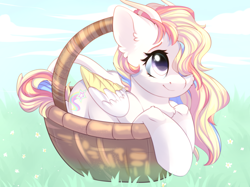 Size: 2732x2048 | Tagged: safe, artist:alphadesu, oc, oc only, oc:rainbow dreams, pegasus, pony, basket, chest fluff, cute, ear fluff, female, hair over one eye, high res, horn, leonine tail, mare, pegasus oc, pony in a basket, smiling, two toned wings, wings, ych result